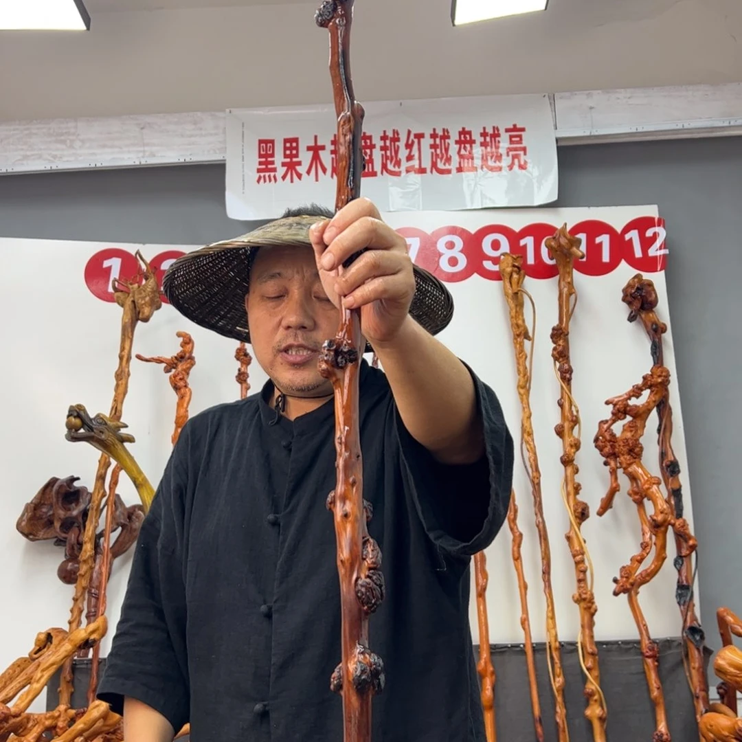 北***水黑果木其他黑果木536
