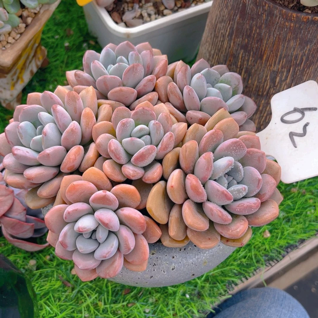 小**?62fghhjjjjjjjnn