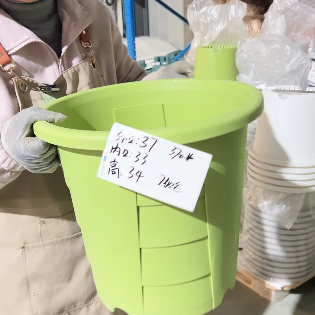 玫瑰370#果绿色4个无托