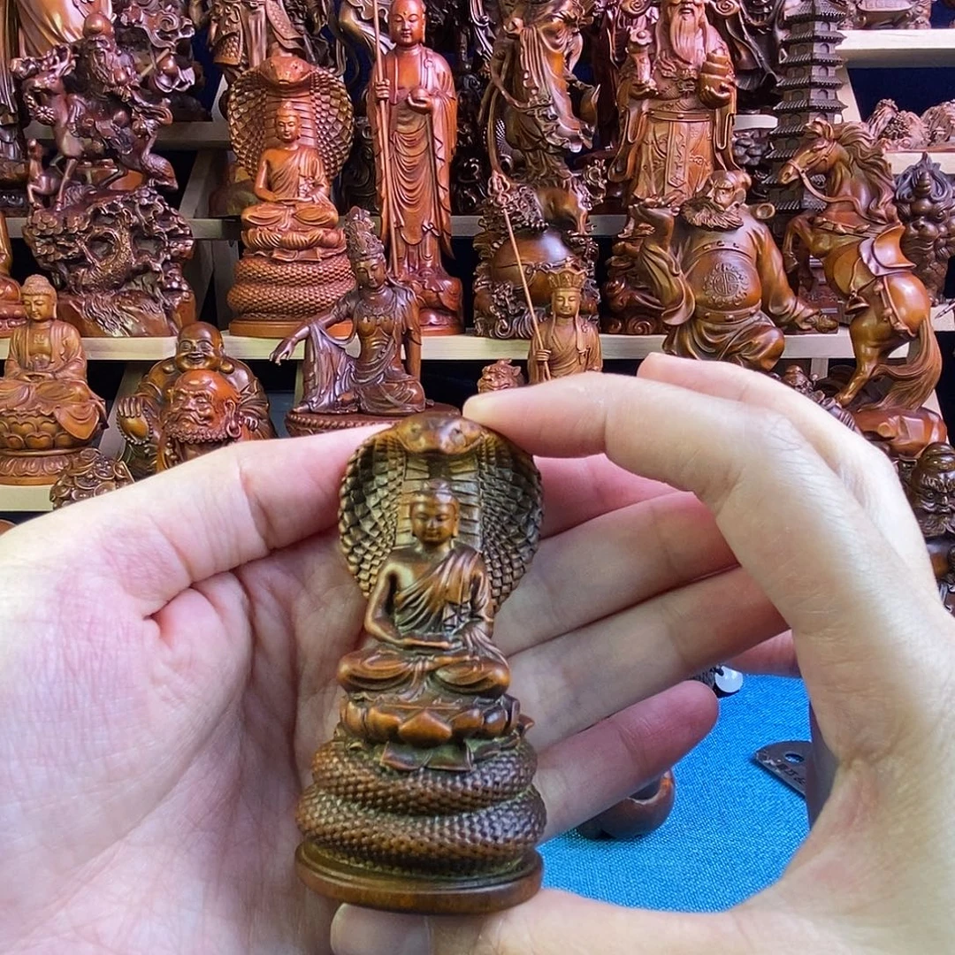 黄杨木小叶黄杨木