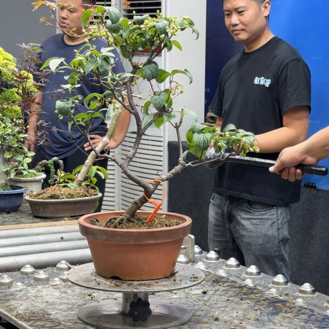 甲迷一物一拍一个