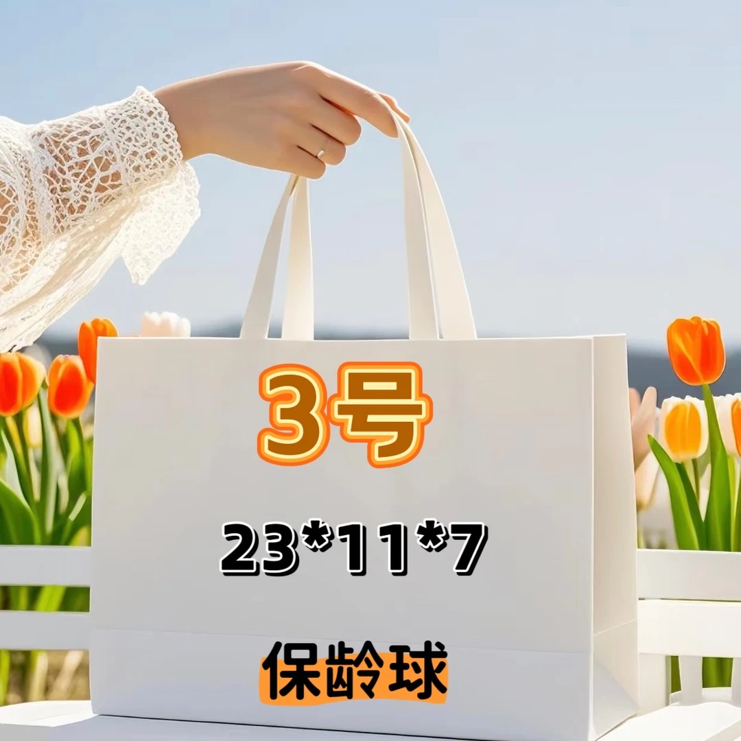 3号（S）明星Ins网红同款保龄球手提包