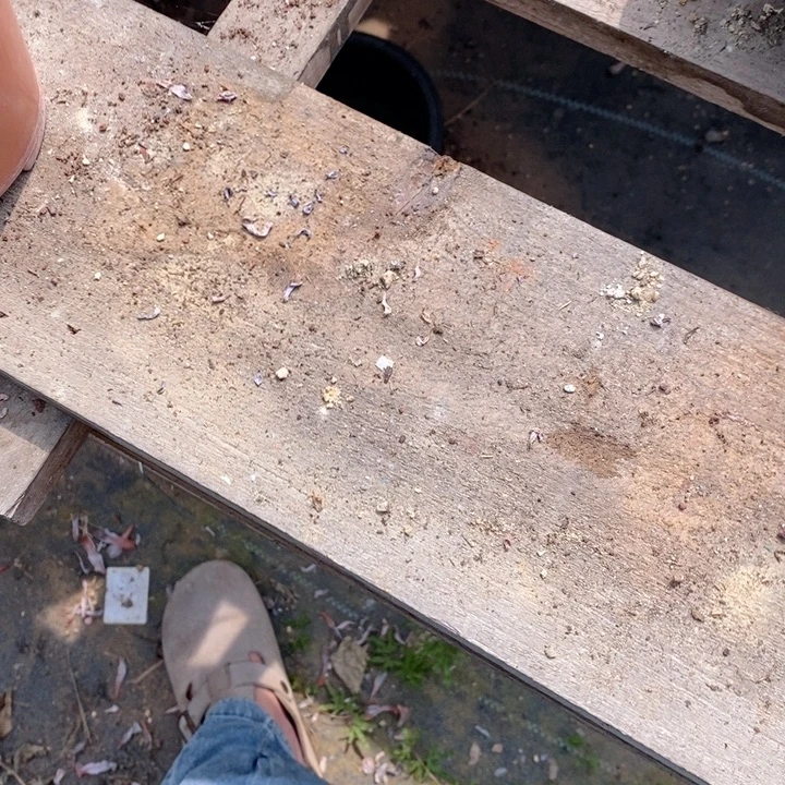 遥***望随机一颗哇哇哇哇哇