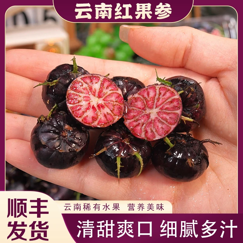 【顺丰】云南红果参新鲜当季稀有水果蜘蛛果清甜多汁营养丰富2盒起