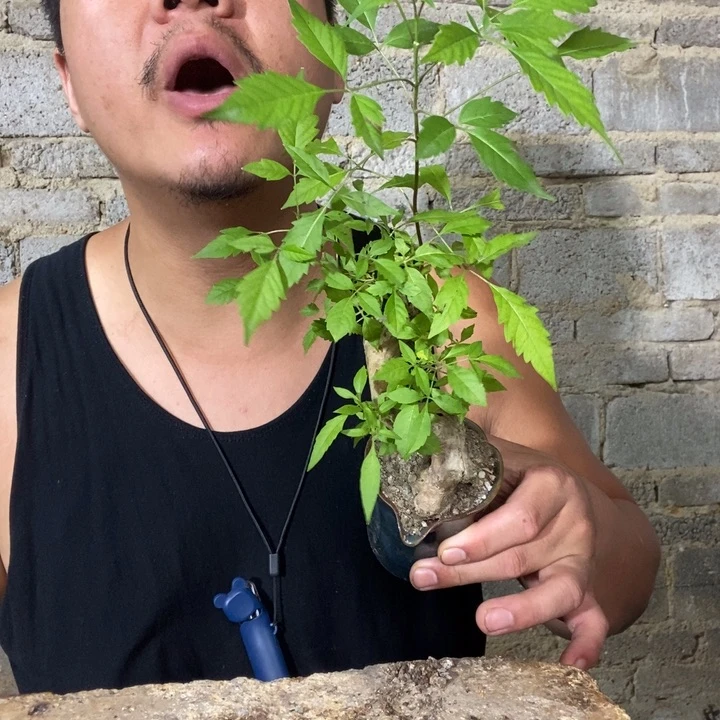 ?***?退款拉黑一物一拍84