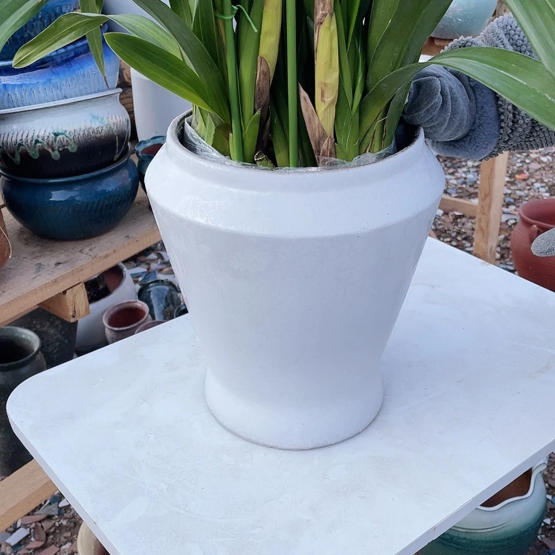 红陶宋白大收口高28