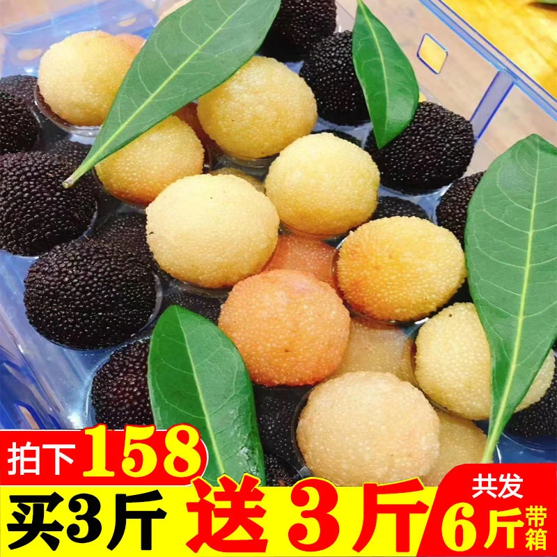 杨梅新鲜慈溪余姚现摘现发当季孕妇荸荠鲜果非浙江东魁杨梅 6斤装