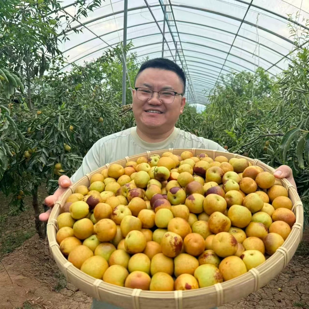 【张班长推荐】山西脆甜新鲜冬枣现摘现发
