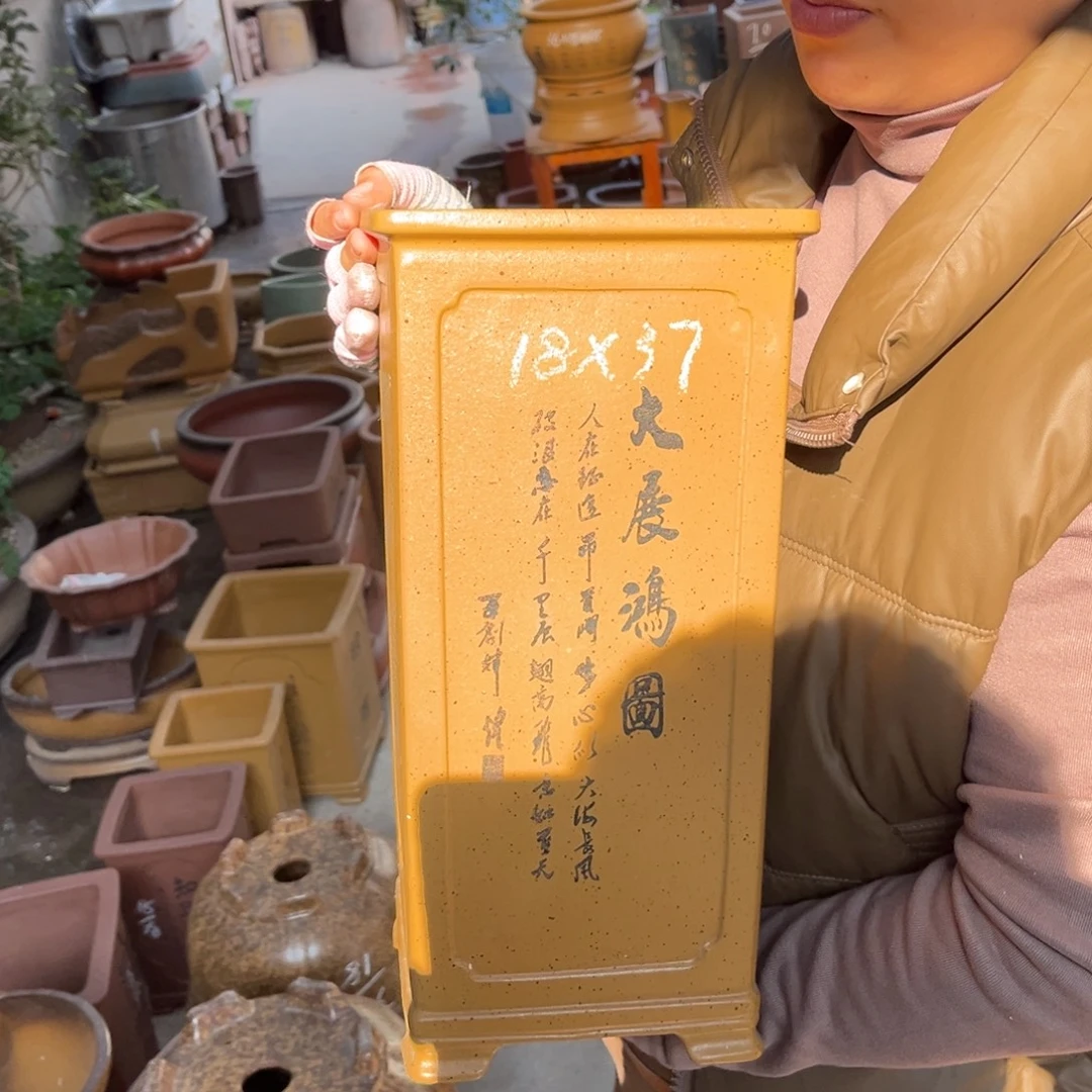 花盆紫砂盆景艺术