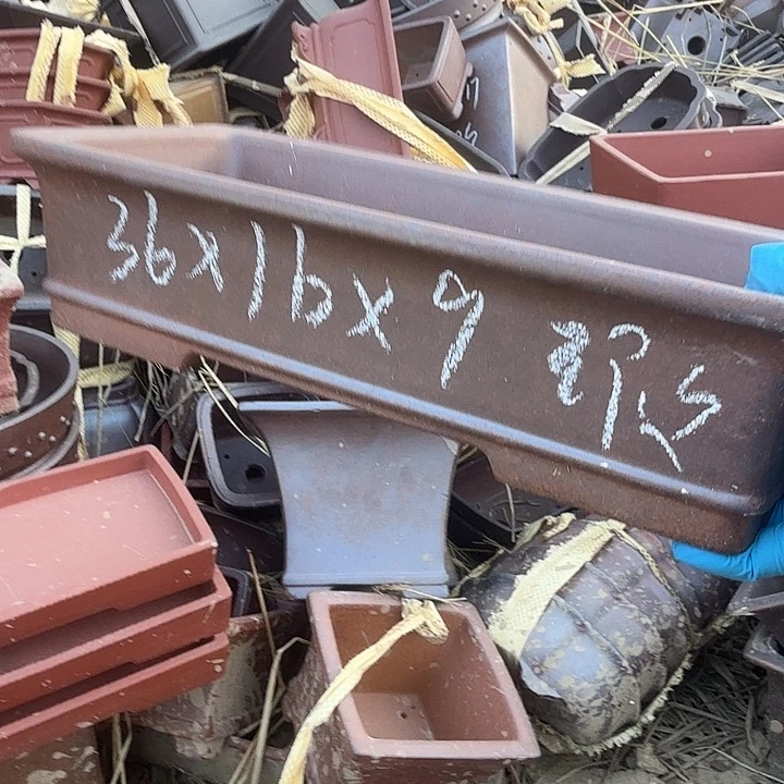 宣传册里还有好多钱一袋是