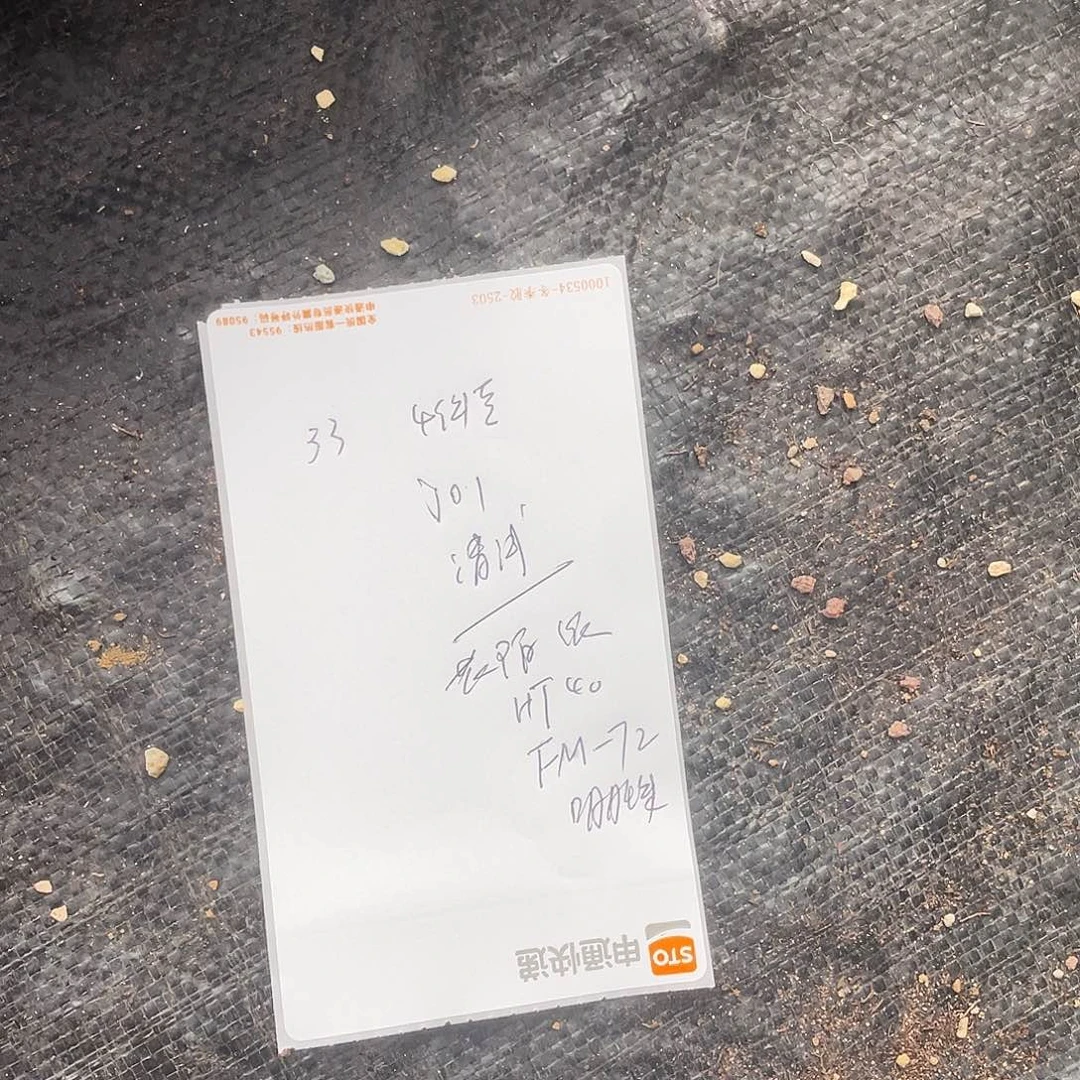 猩***猩十个品种中苗一个满25包邮