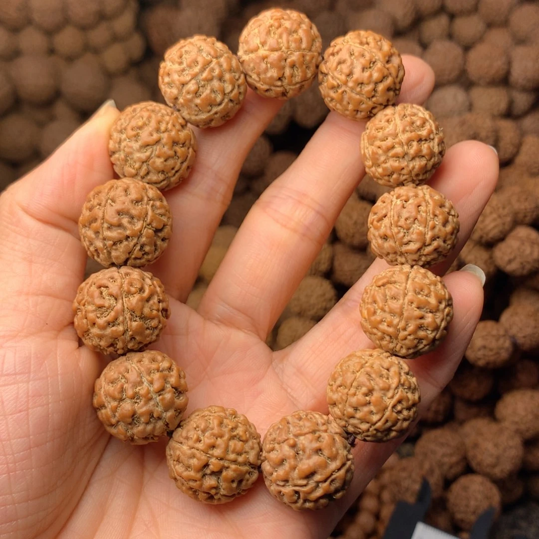 木7瓣爆肉卡18尺寸，30号