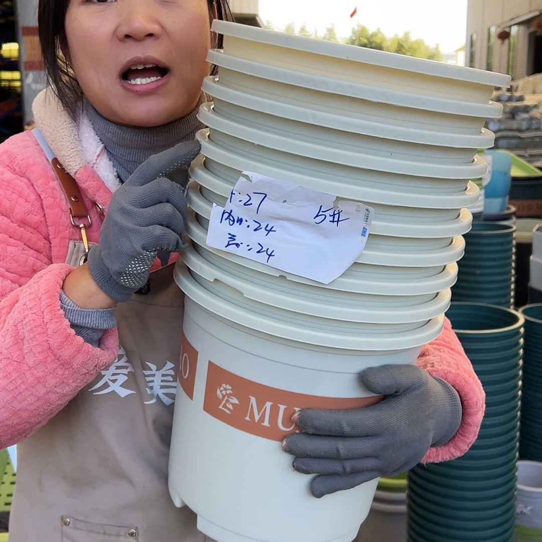 瑕疵5加仑米白色10个无托