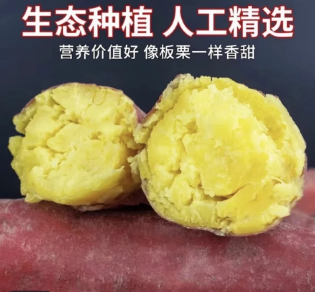 陕西板栗红薯粉糯香甜地瓜干面现挖沙地番薯蜜薯白薯山芋新鲜C