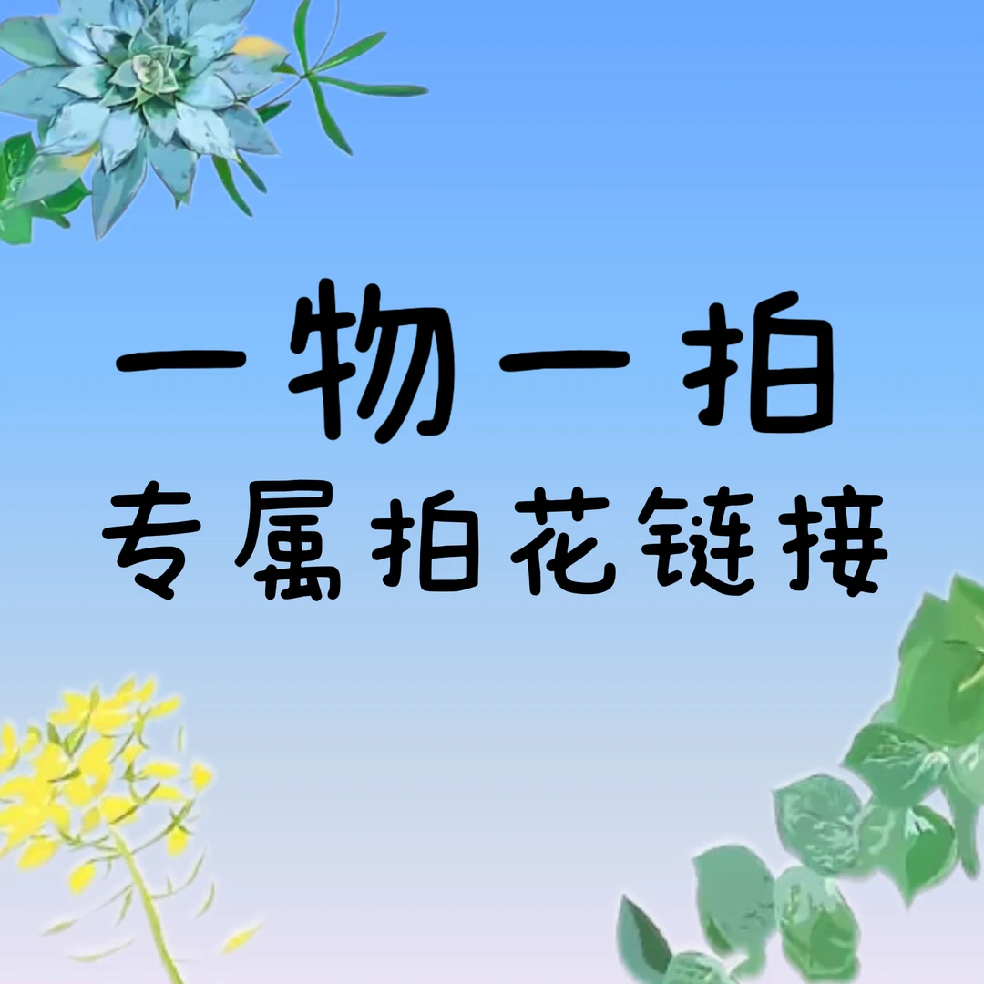 春石斛《一物一拍》播播间专属链接 请勿盲拍