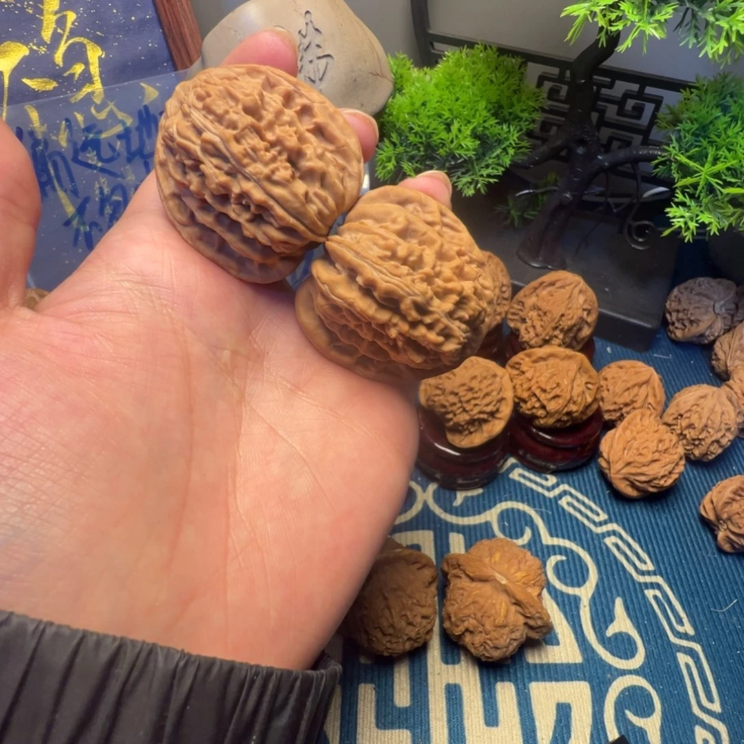 41尺白茬四座楼核桃