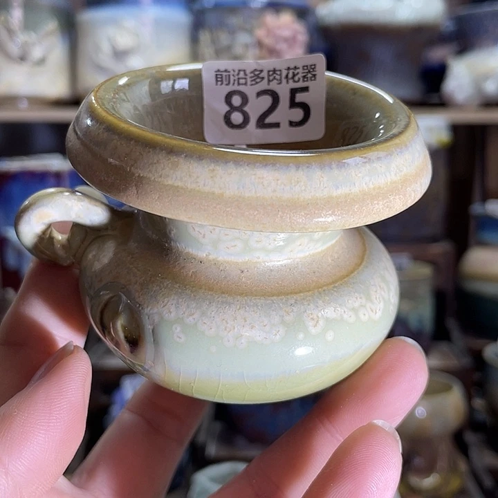狼盆内口径6高度6