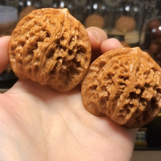 福利：老款狮子头45尺