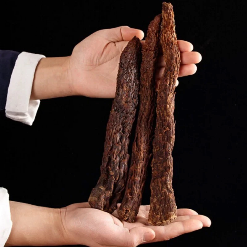 肉苁蓉阿拉善肉苁蓉搭配枸杞泡茶软大云个沙漠种植新鲜整根切片