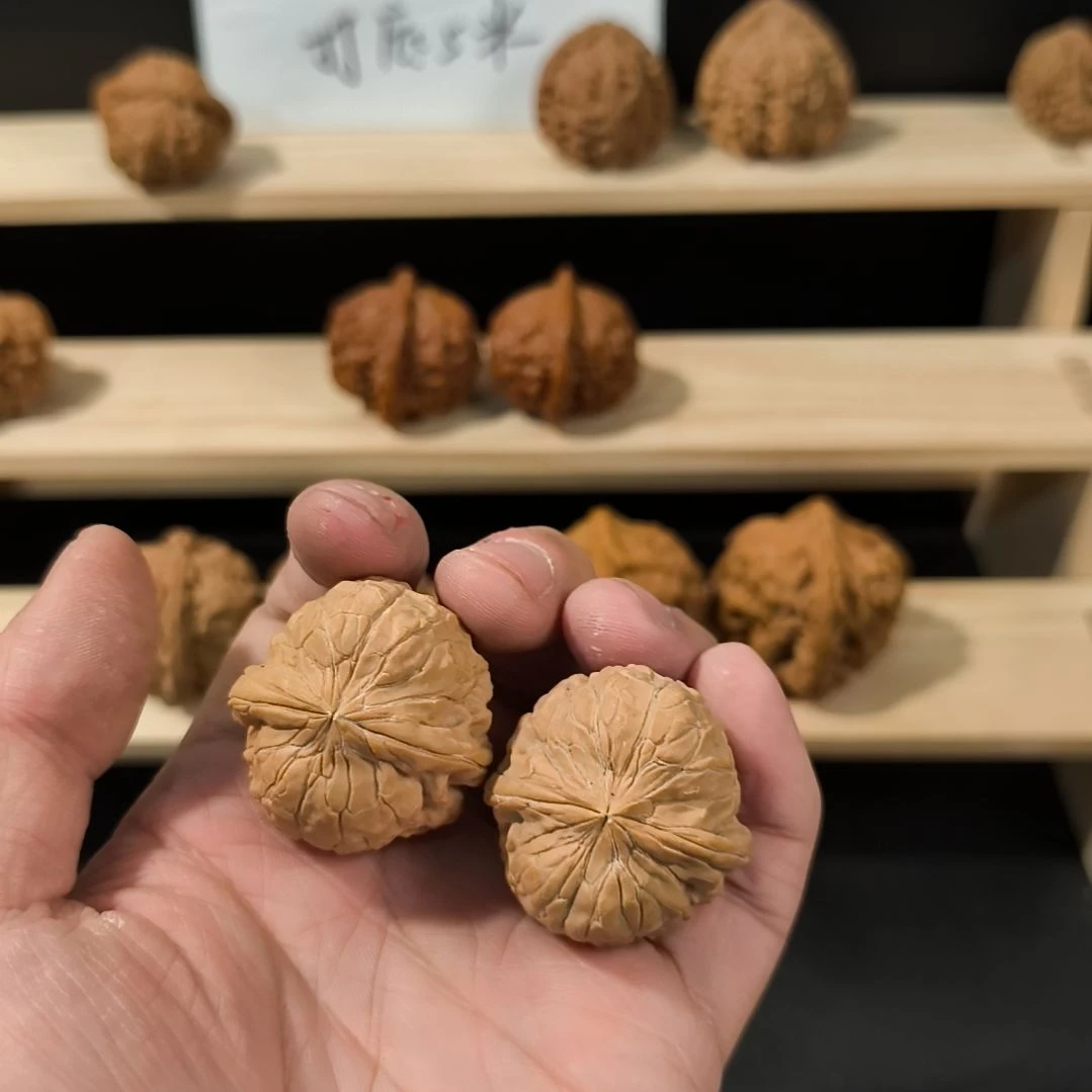 文玩核桃吊坠35+金蟾尊