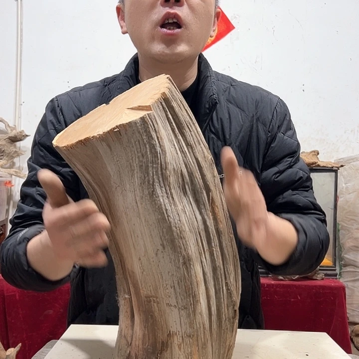 柏木龍*軒我们的生活是以