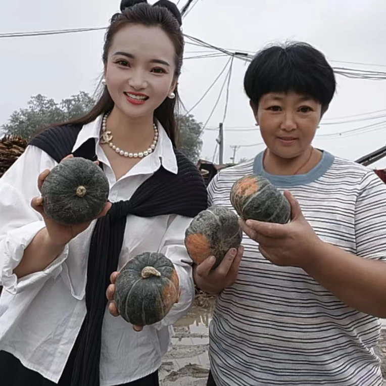 正宗贝贝南瓜新鲜采摘粉糯香甜板栗味可作宝宝辅食