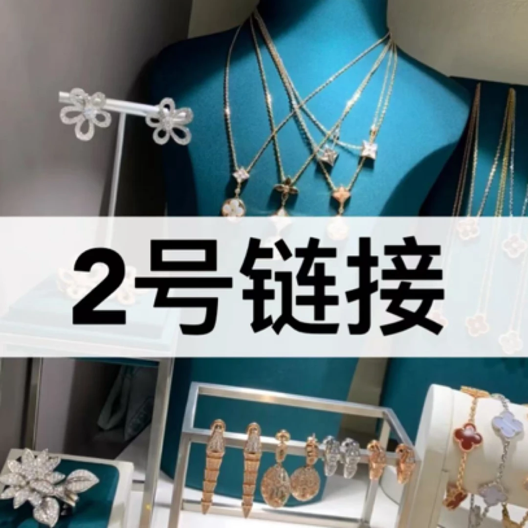 合金项链 【2号链接】高品质时尚饰品气质轻奢百搭复古简约