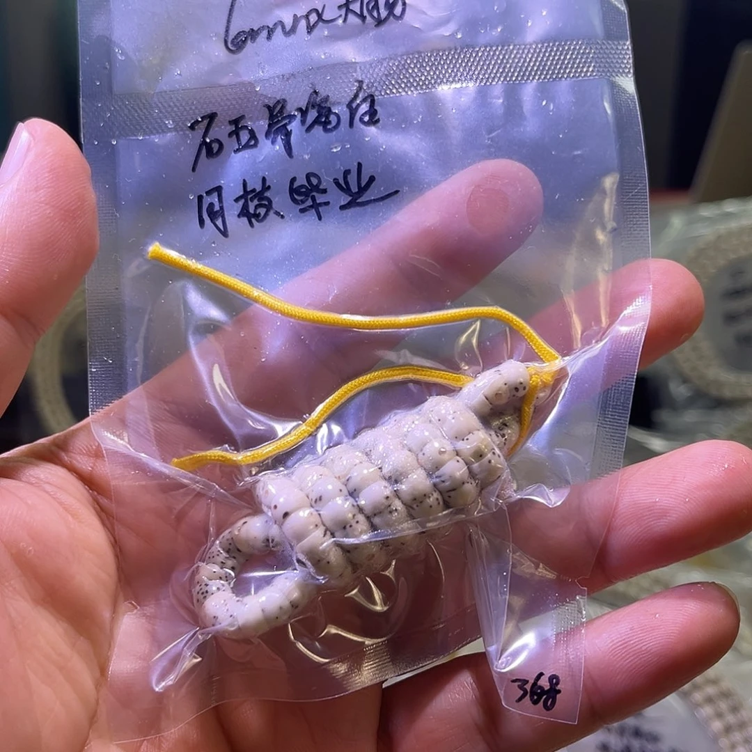 吊坠星月菩提星月