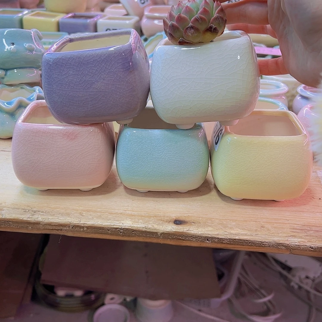 陶瓷花盆当场凑满12包邮