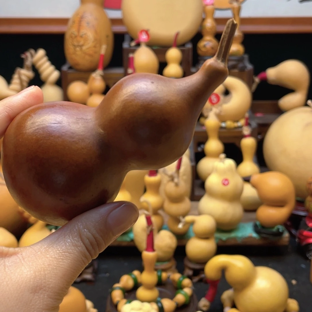 念****念大自然的秘密第十一节的故事