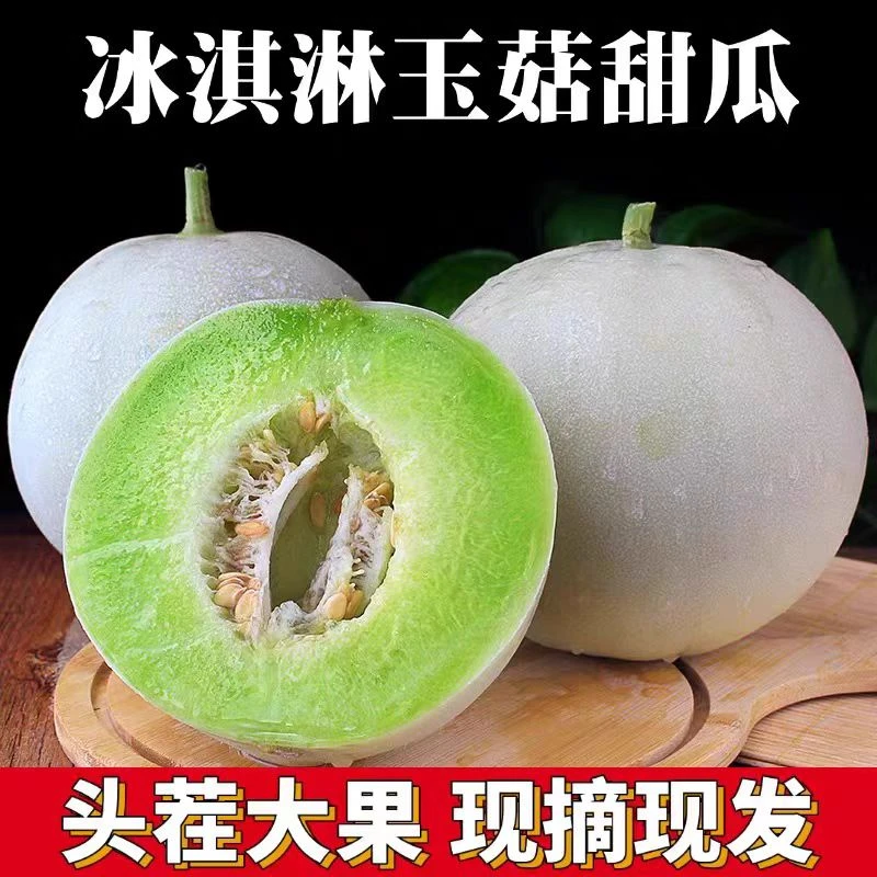 玉菇甜瓜新鲜当季水果冰淇淋口感软糯香甜甄选优质果园产地直发