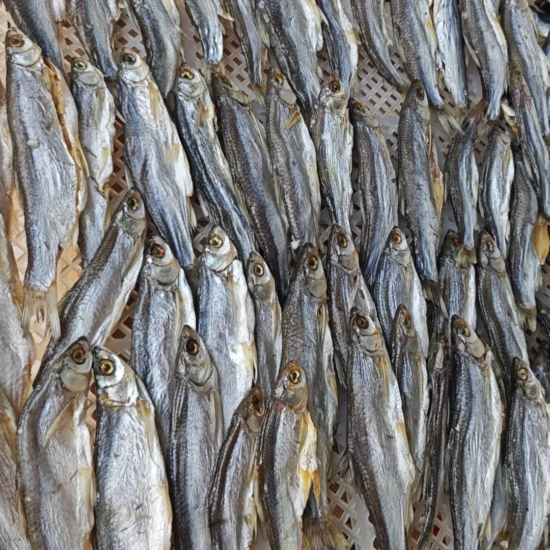 黄梅腊鱼优质淡水湖小鱼干水产干货