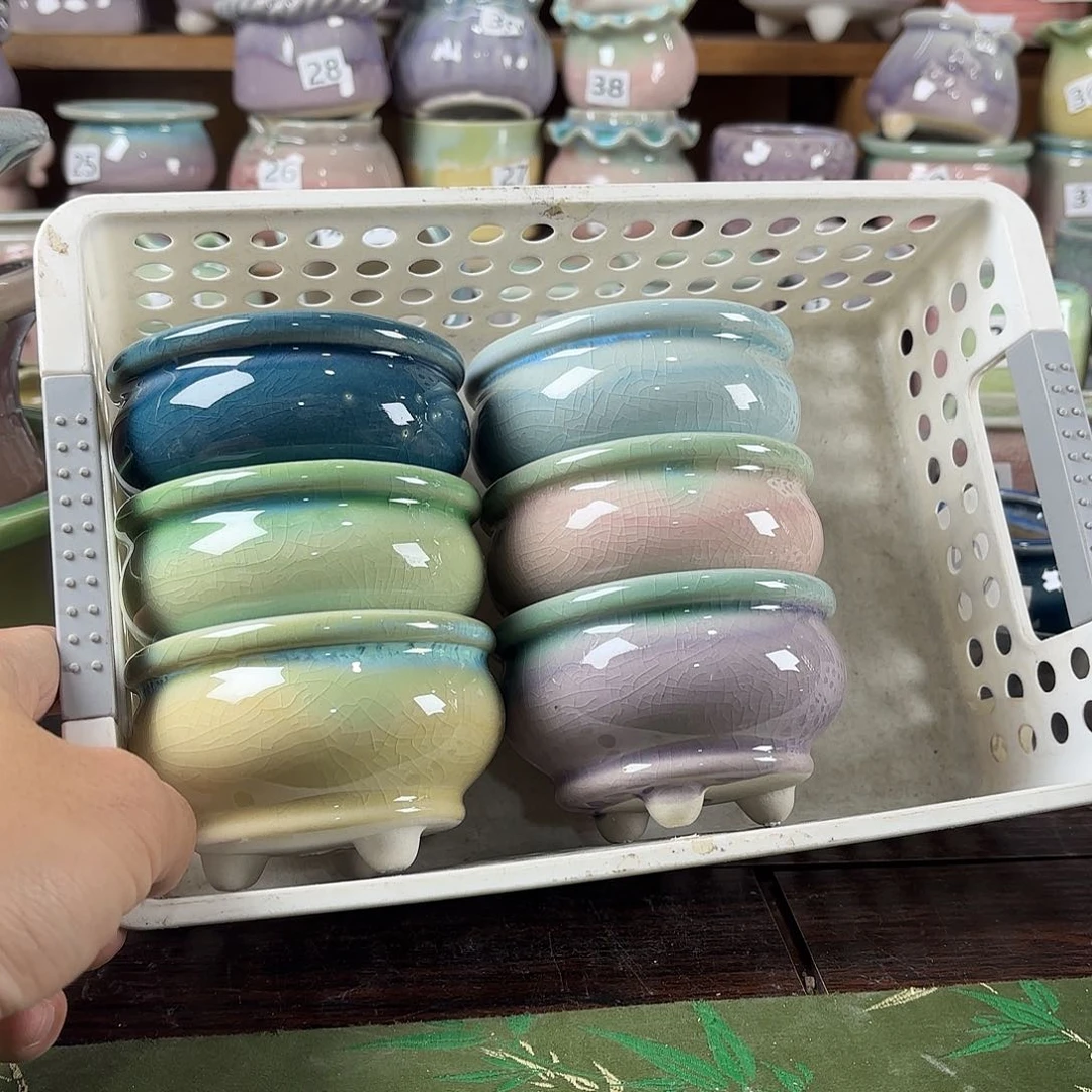 陶瓷量货/口高深浅搭配发6