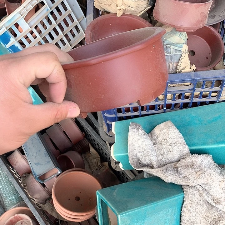 紫砂优秀青年科技人才创新