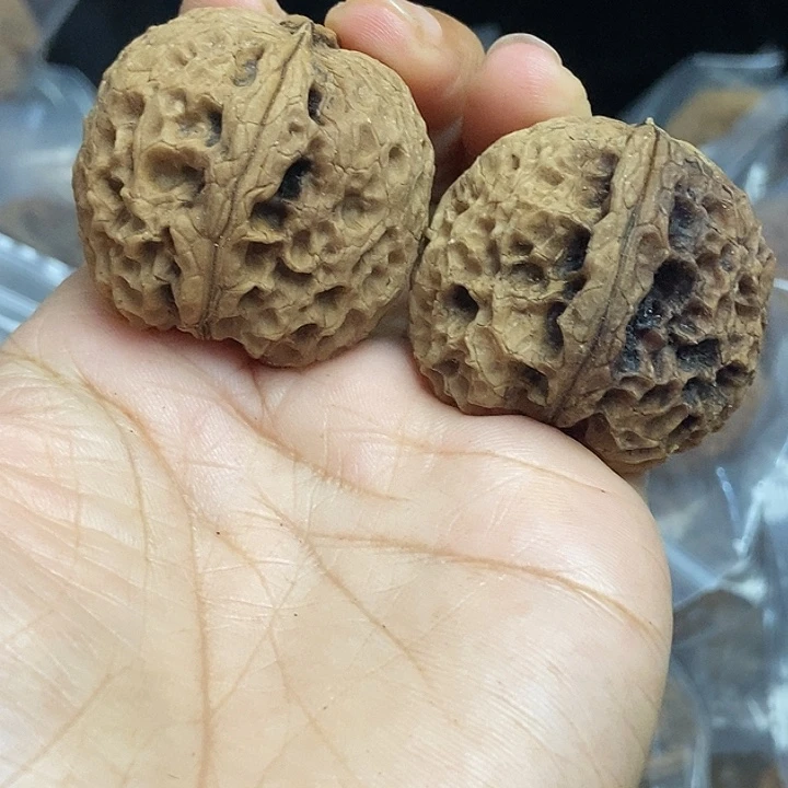 木质类云南铁核桃基地25