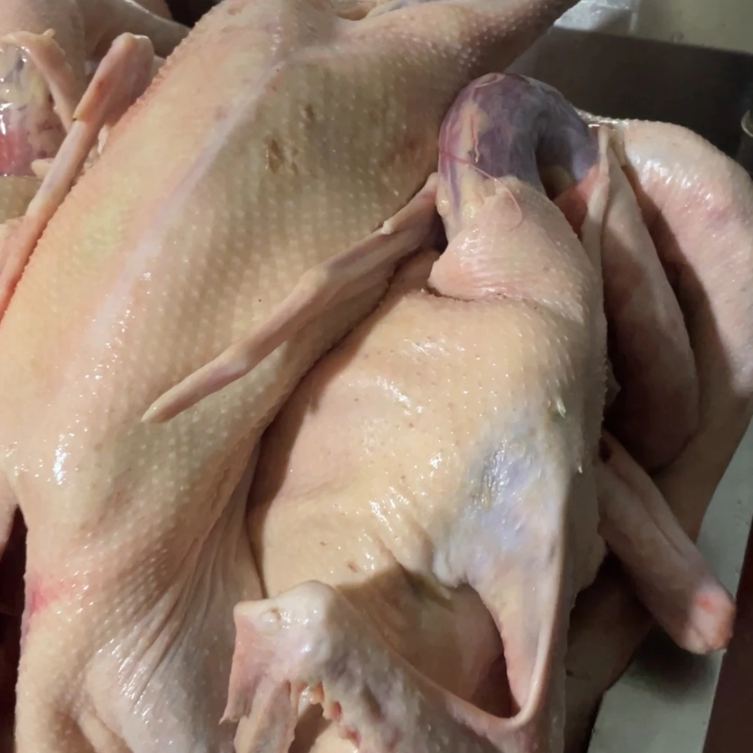 新疆本地土鹅，手工屠宰，自然风干