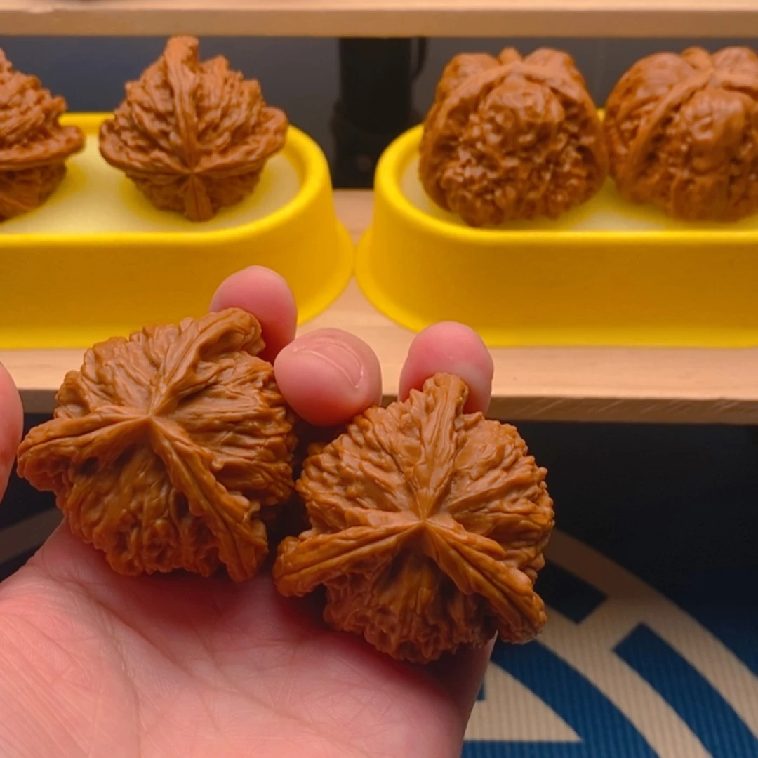 【闪购商品】D****G这个世界真的太美好了