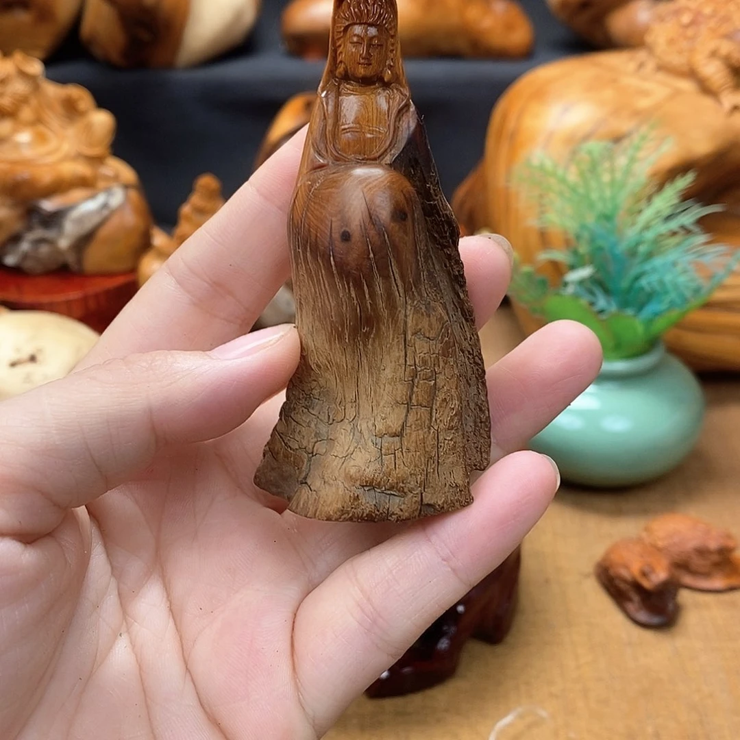 柏木（崖柏）一物一图