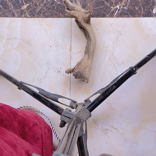 柏木?***期陈化到位坨坨疙瘩