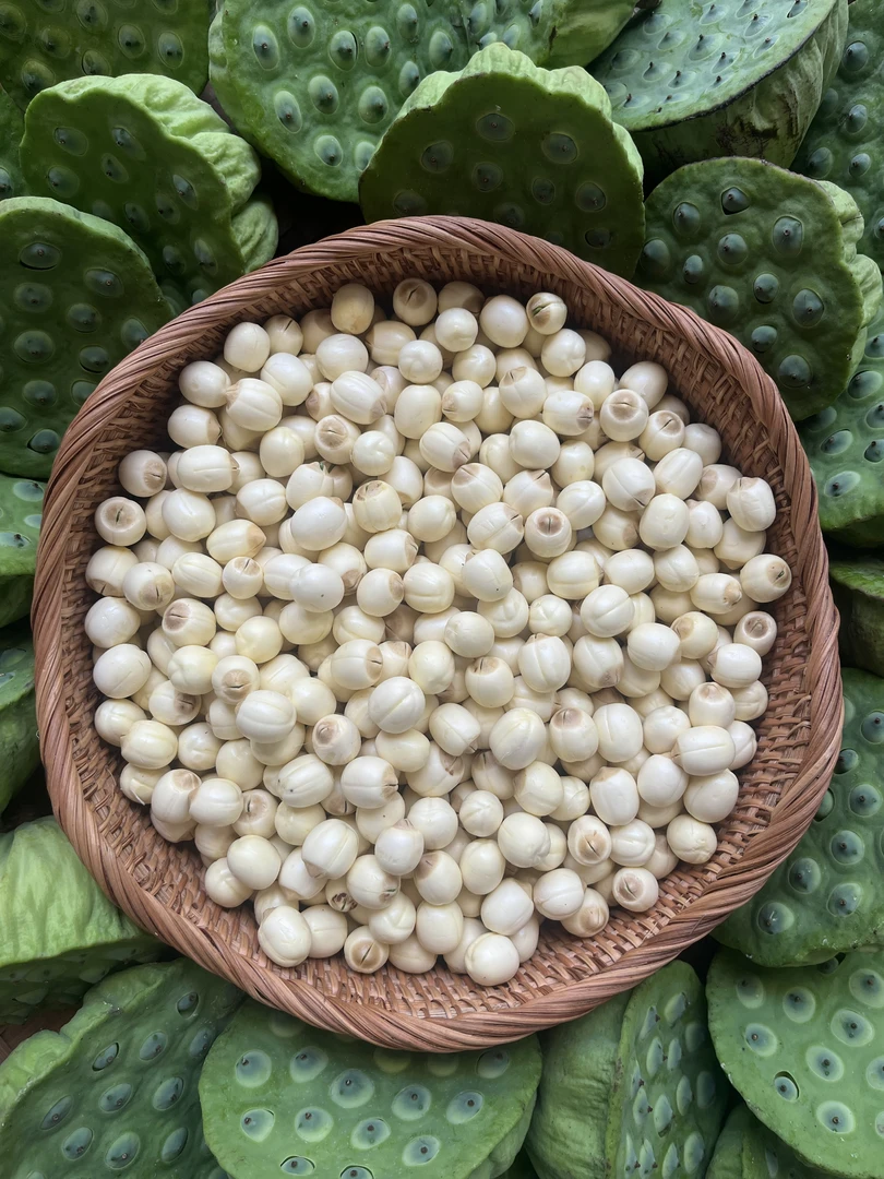 顺丰包邮2025年新鲜纯手工去壳去衣去芯煲汤莲子当天现摘现剥现发