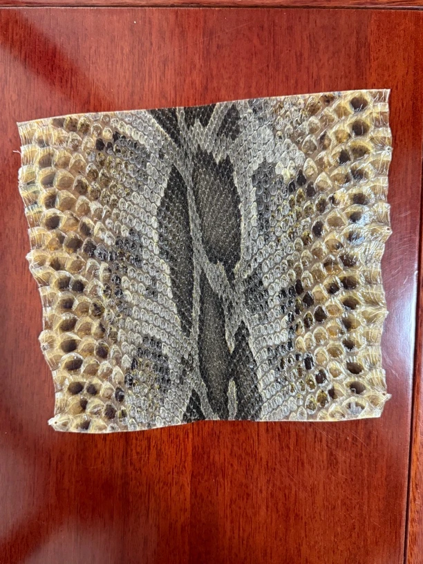 蟒皮三弦手鼓热瓦普扎木念二胡用皮