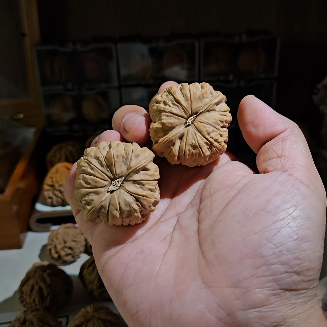 把件文玩核桃44南瓜墩文玩核桃