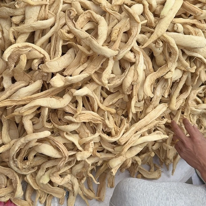 中国大陆三斤谭儒萝卜干