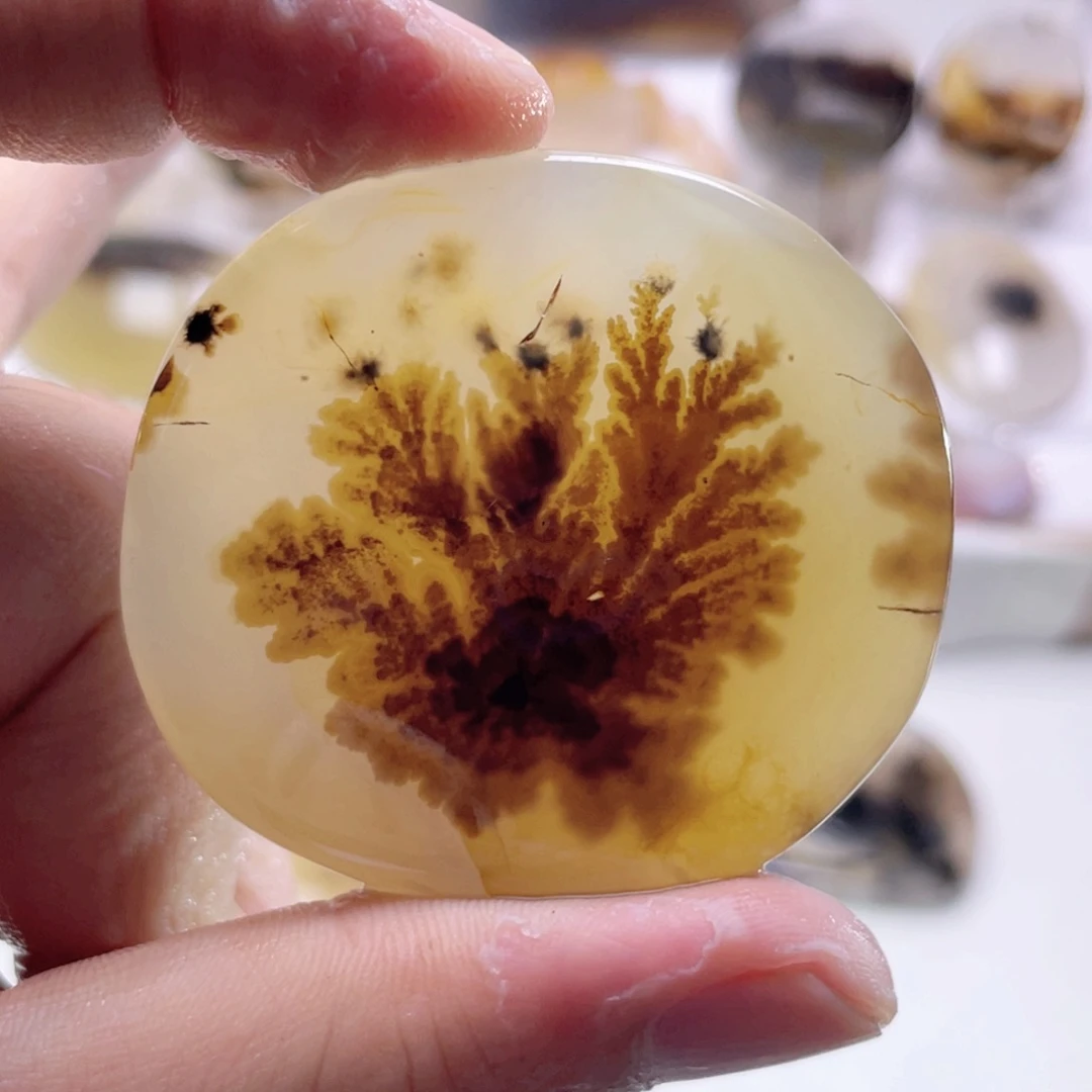玛瑙/玉髓颈饰合金