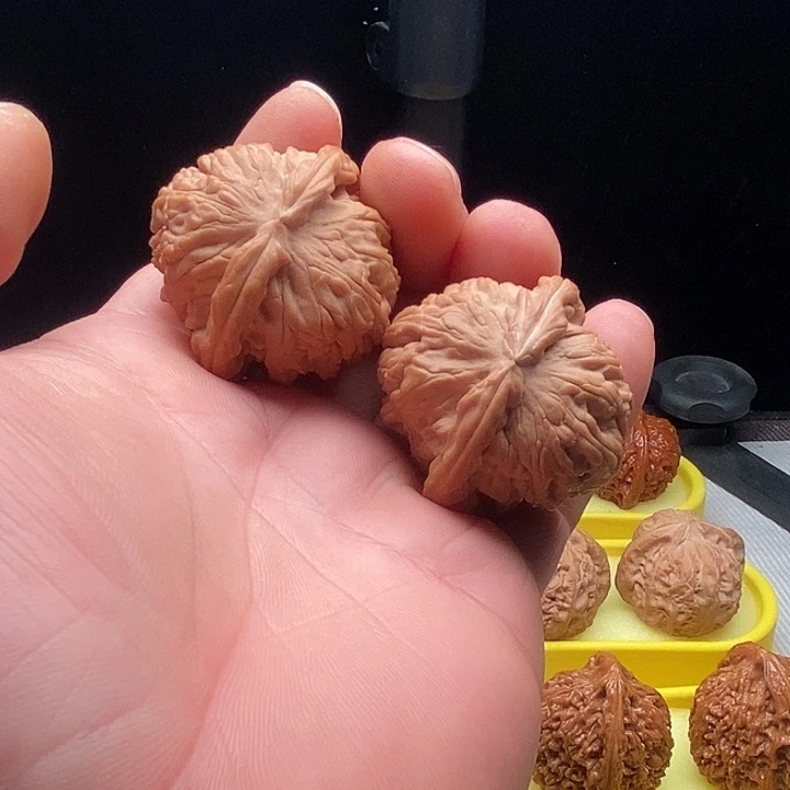 文玩核桃把件40尺白狮子