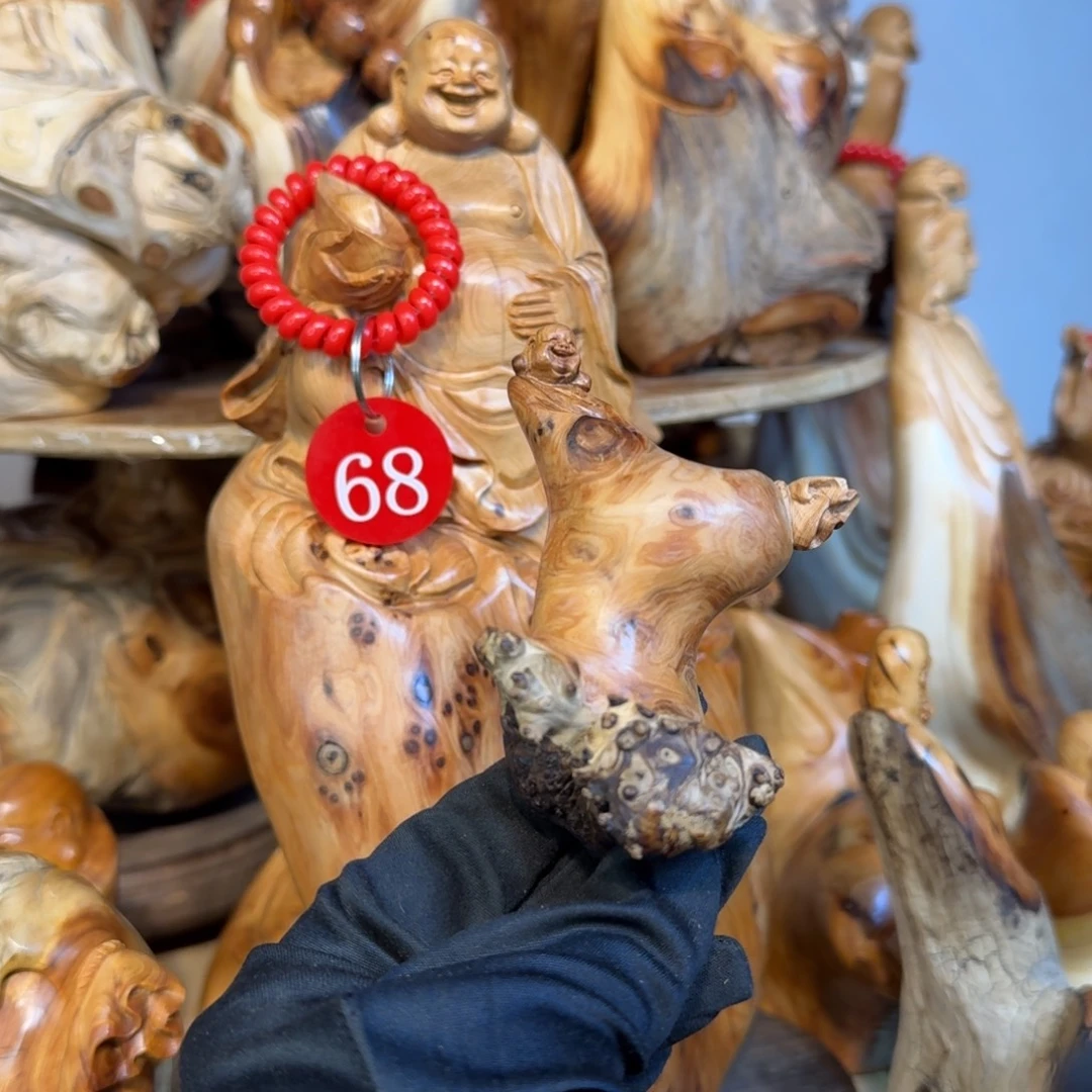 柏木（崖柏）66666666