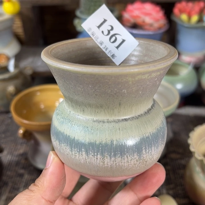 口6.5 未满30运费到付