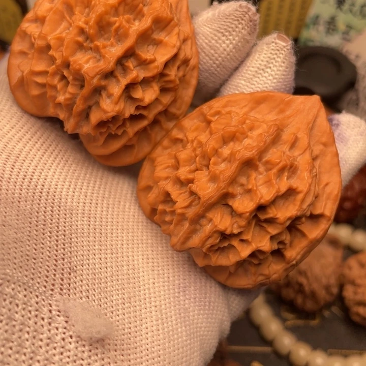 灬***灬核桃45尺秦岭野生大花帽