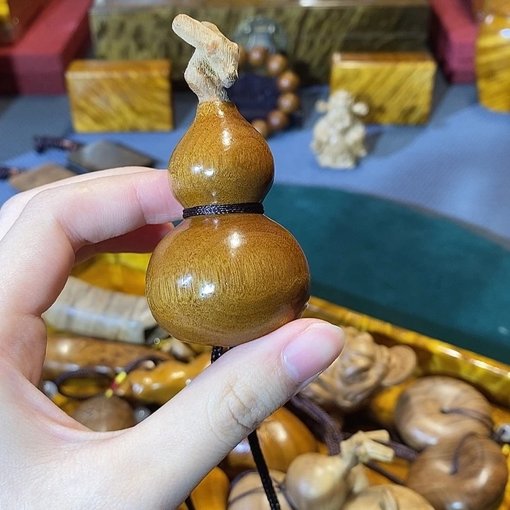 金丝楠小叶桢楠 葫芦