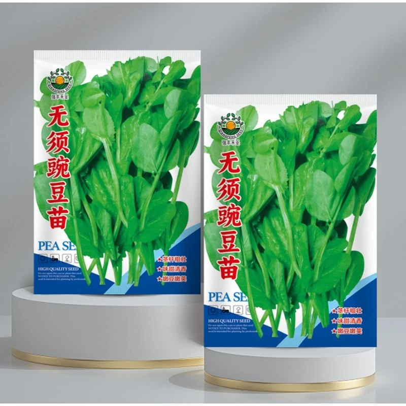 无须豌豆苗种子豌豆尖种子四季阳台芽苗菜约50粒【全店满4.9包邮】